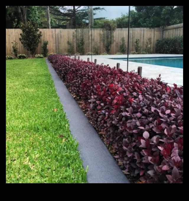 Rooted Radiance: Unveiling Secrets of Garden Brilliance with Maintenance