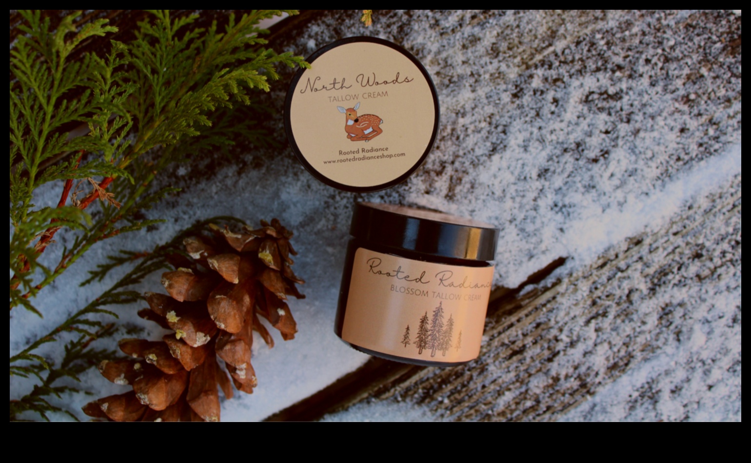 Rooted Radiance: Unveiling Secrets of Garden Brilliance