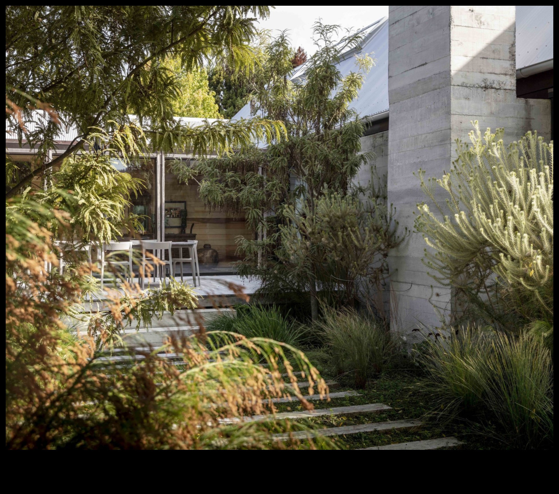 Rooted Resilience: The Strength of Expert Garden Maintenance