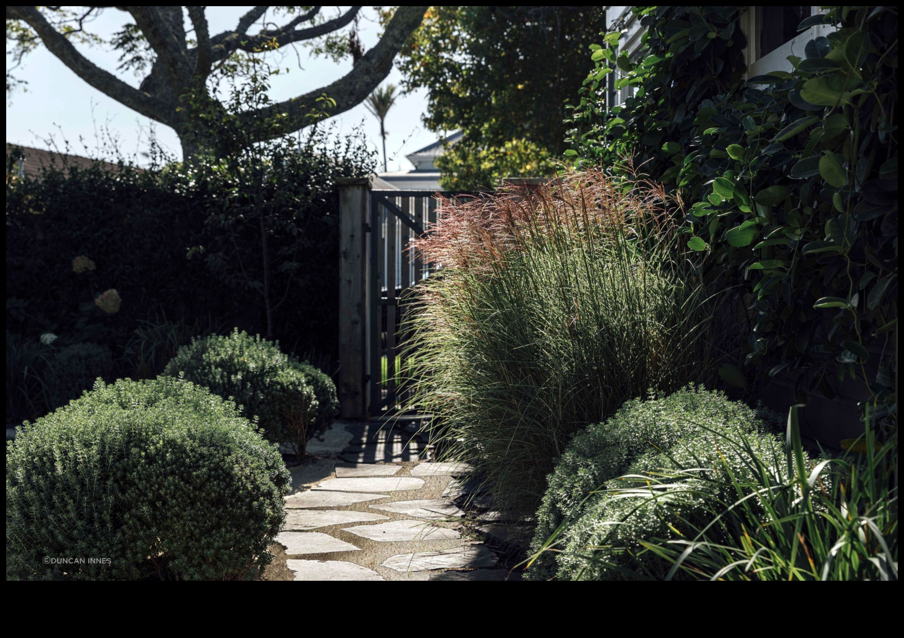 Rooted Resilience: The Strength of Expert Garden Maintenance