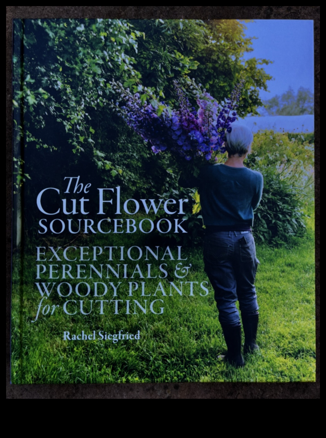 Rooted Wisdom: Growing Brilliance in Garden Workshops