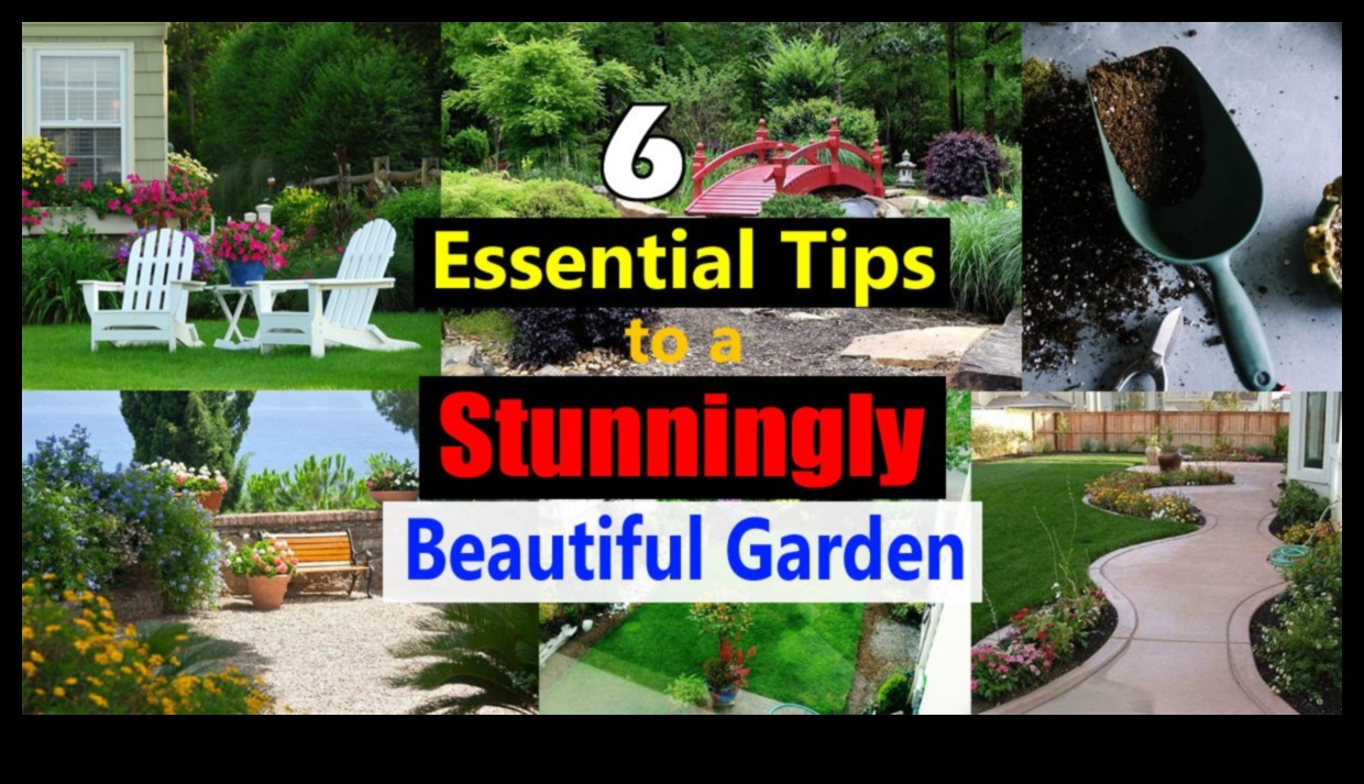 Rooted in Beauty: Essential Tips for Successful Garden Plans