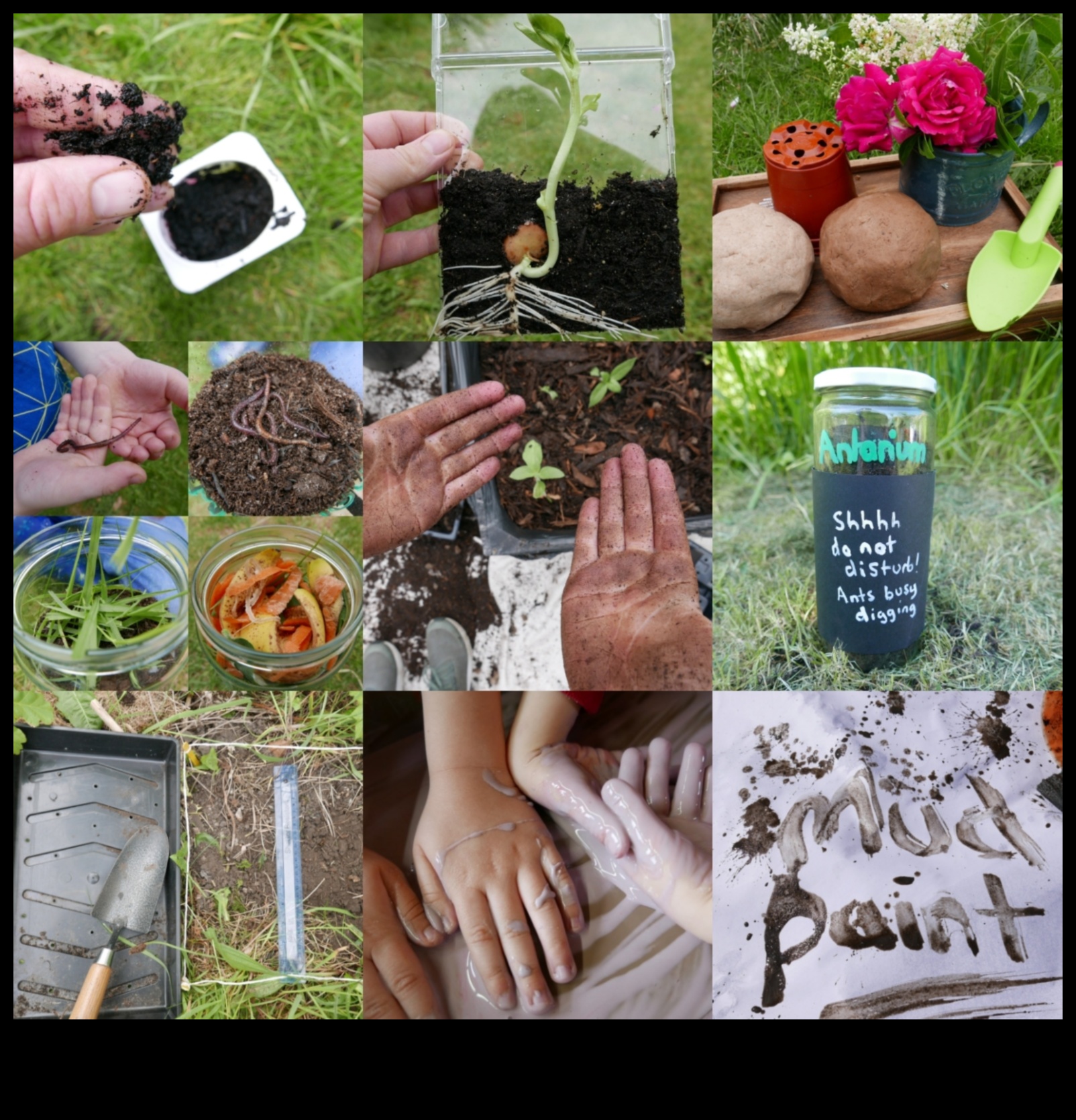 Rooted in Discovery: Explore New Horizons in Garden Workshops