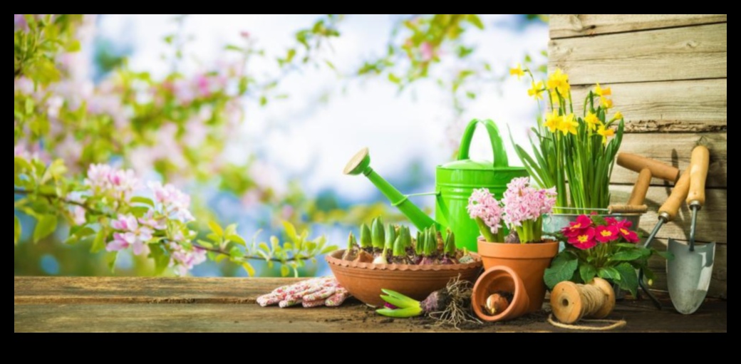 Rooted in Radiance: Essential Garden Tools for Triumph