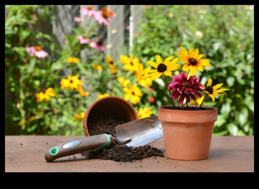 Rooted in Radiance: Essential Garden Tools for Triumph