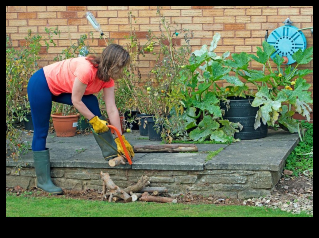 Rooted in Radiance: Essential Garden Tools for Triumph