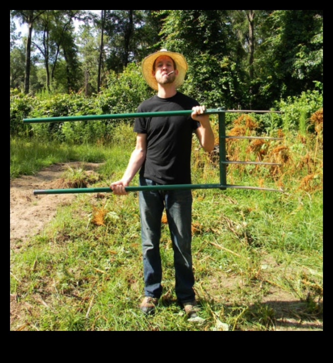 Rooted in Radiance: Essential Garden Tools for Triumph