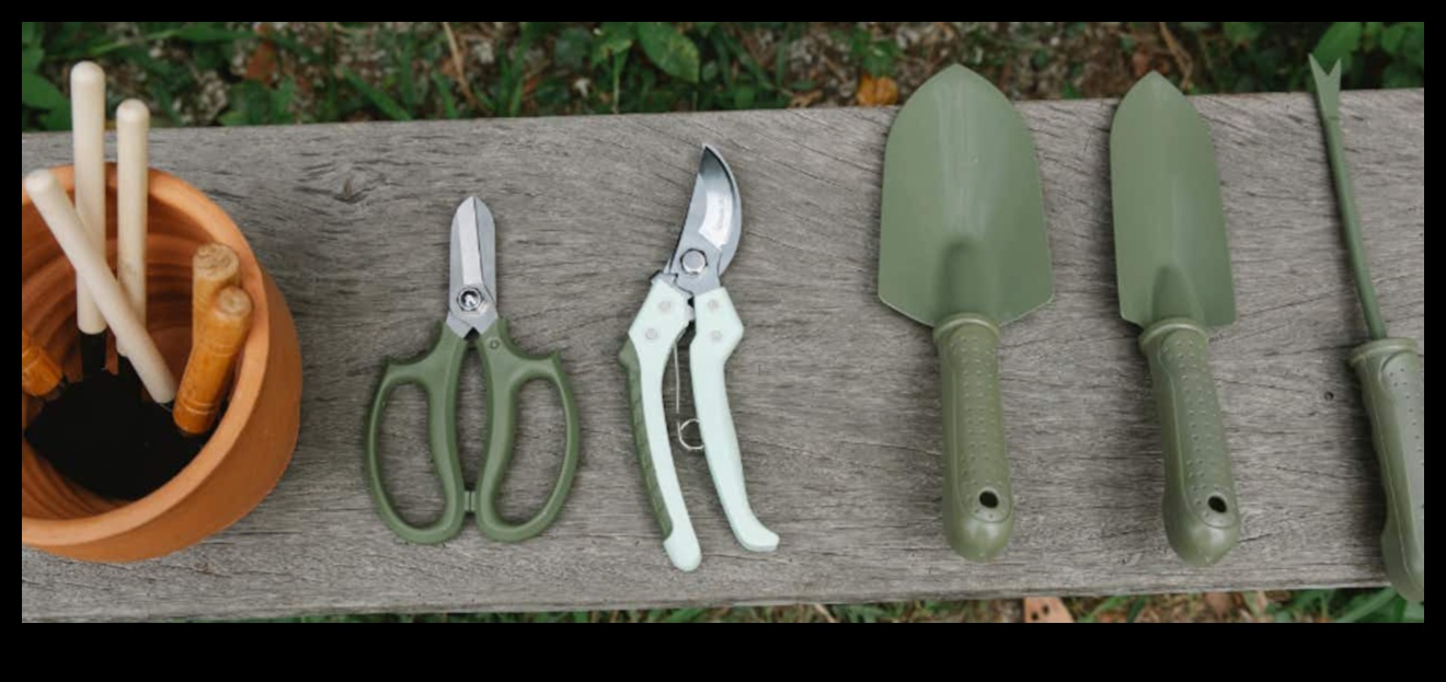 Rooted in Success: Essential Garden Tools Defined