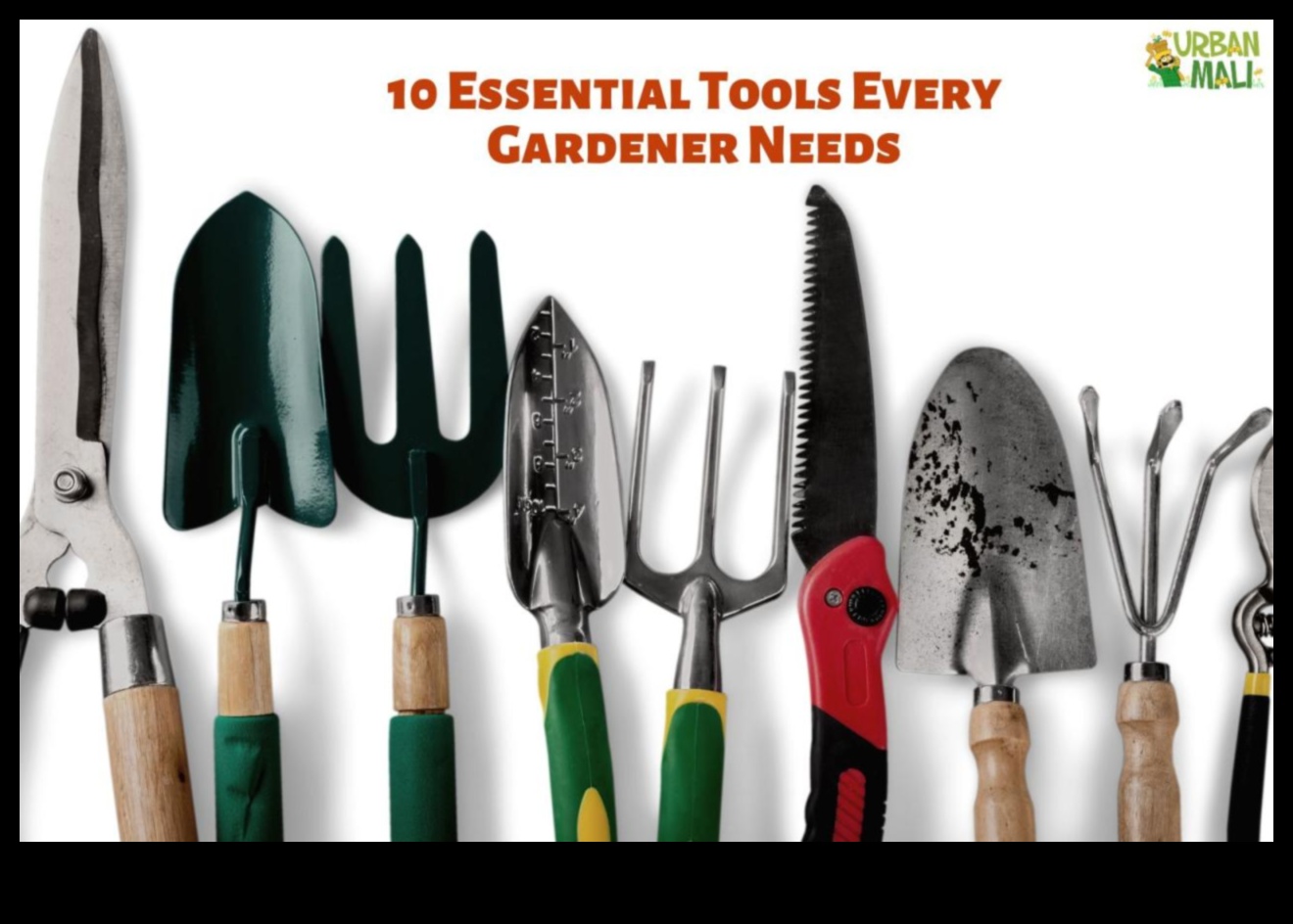 Rooted in Success: Essential Garden Tools Defined