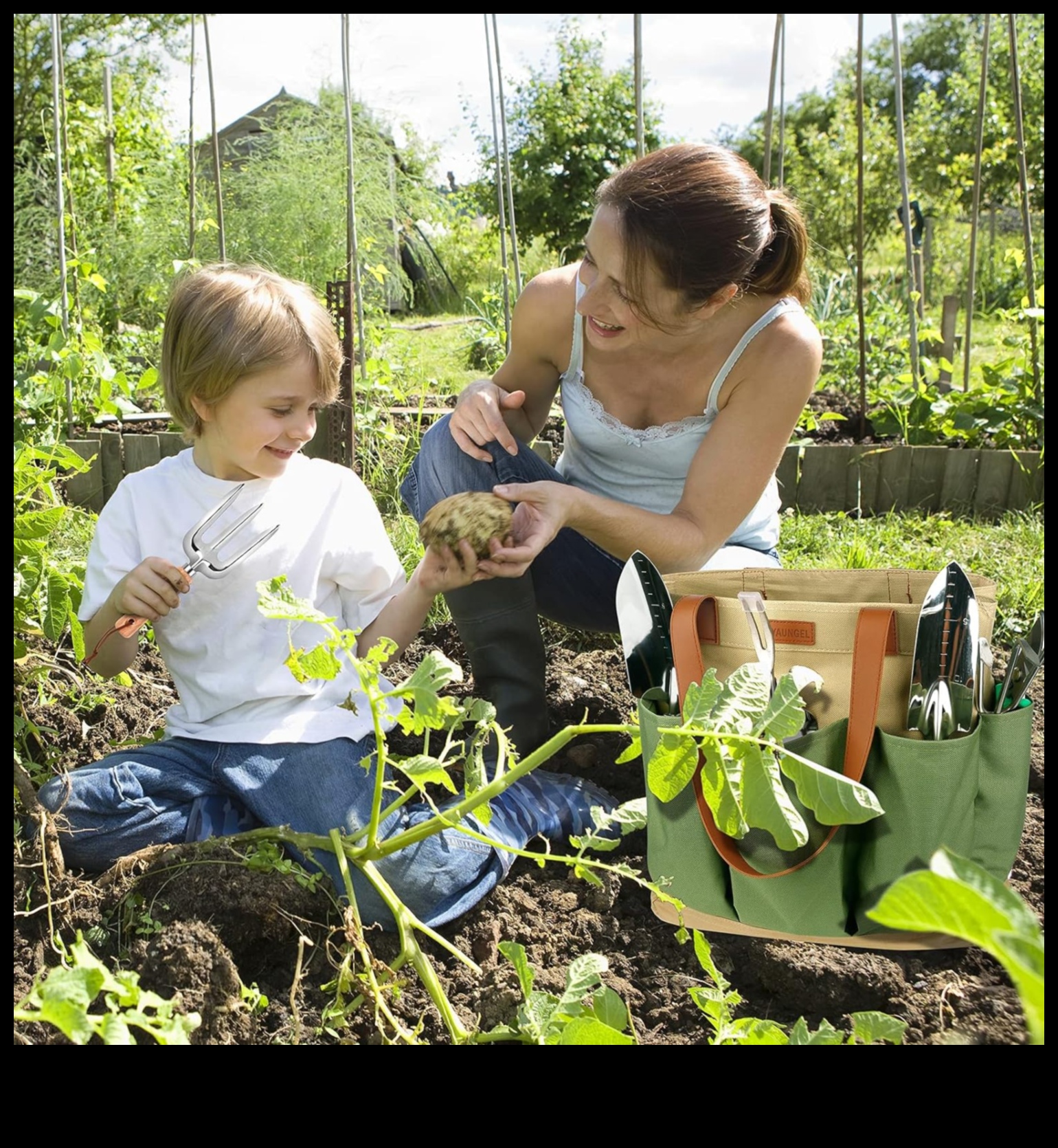 Rooted in Success: Garden Equipment for Every Enthusiast