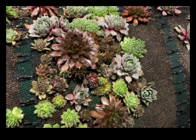 Roots of Radiance How Horticulture Can Help You Thrive 1