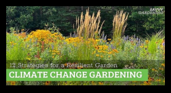 Roots of Resilience: The Strength Behind Expert Garden Maintenance