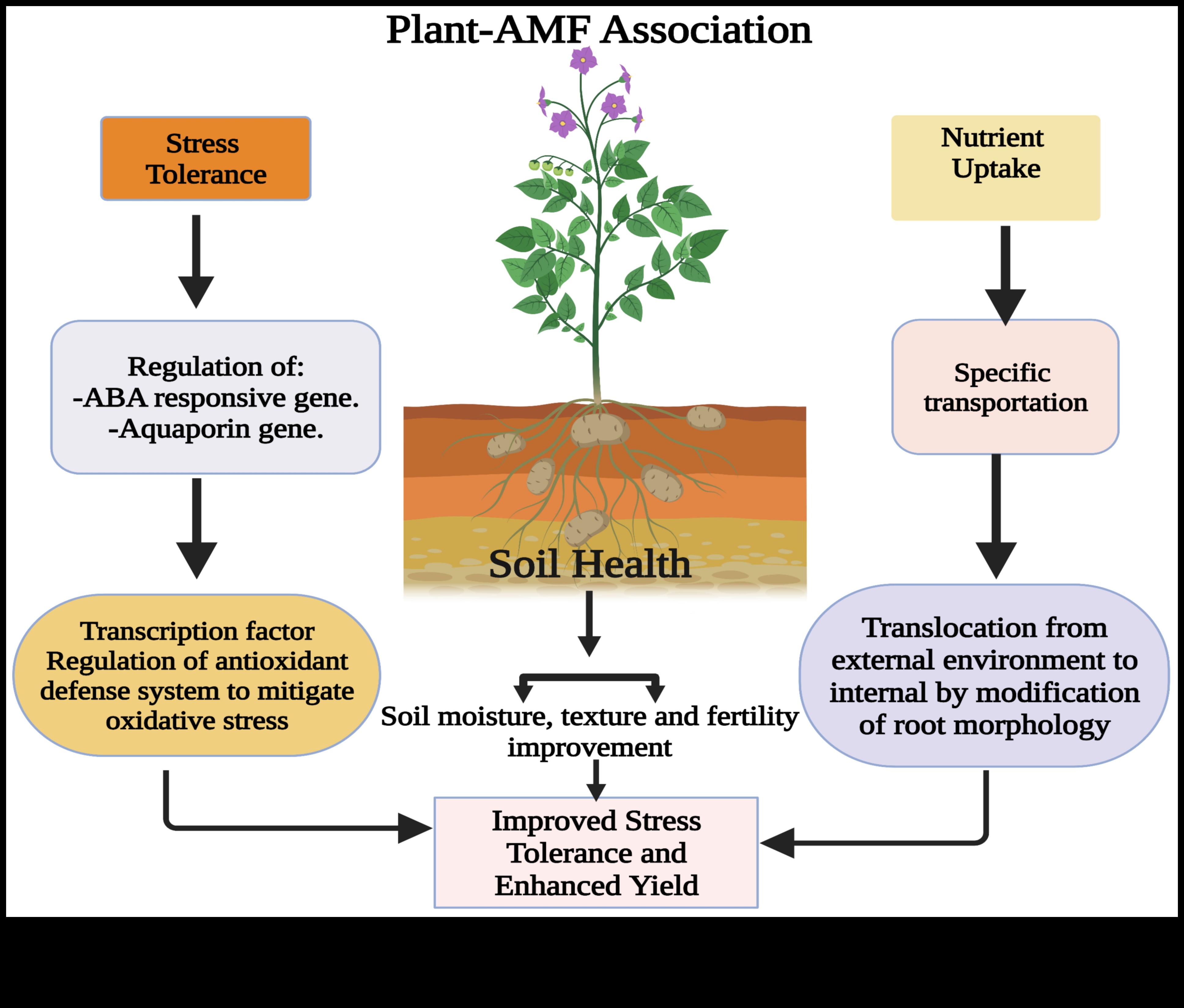 Roots of Resilience: The Strength of Horticulture