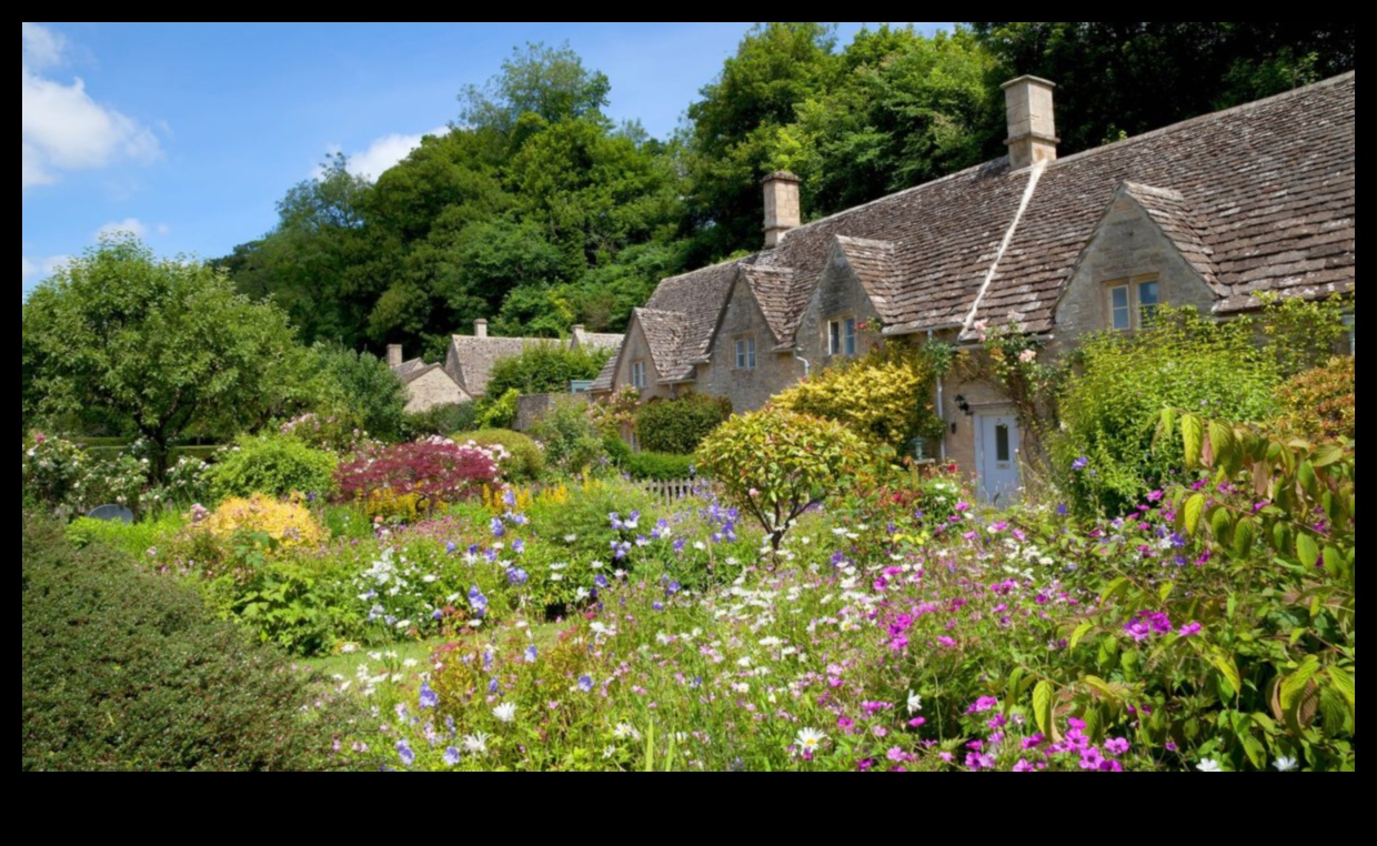 Rural Elegance: Nurturing Timeless Beauty in Cottage Gardens