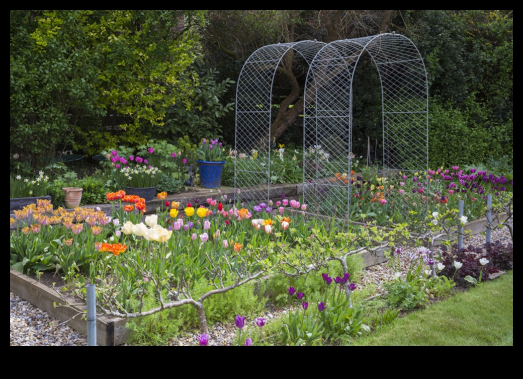 Rustic Elegance: Navigating the Allure of Cottage Gardens