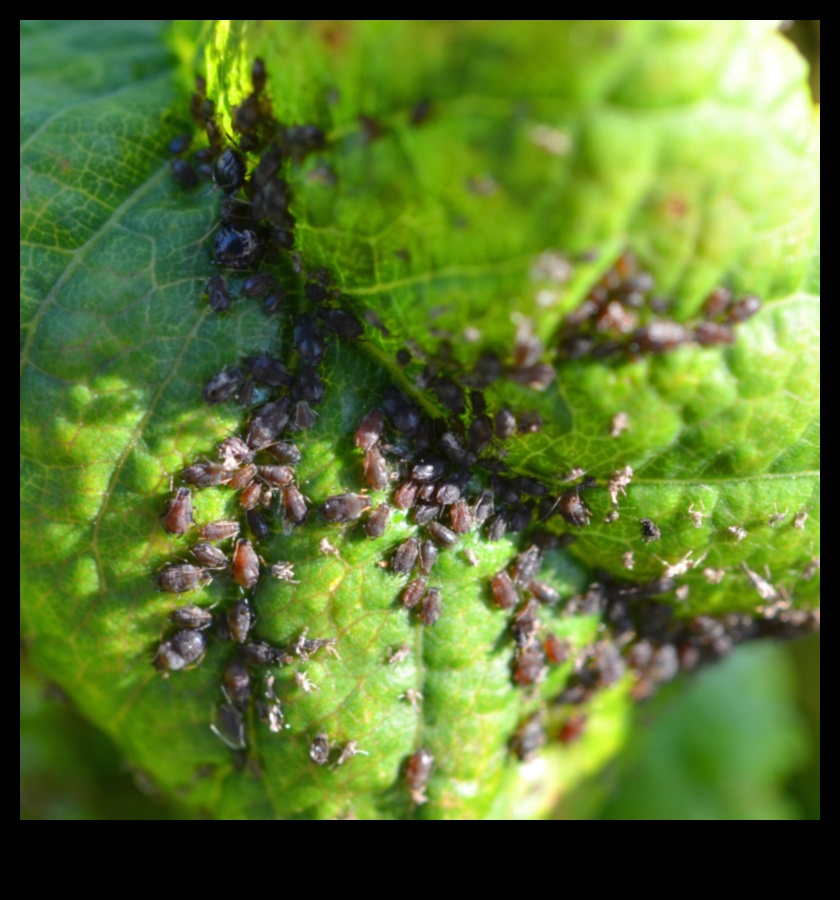 Safeguard Your Sanctuary: Defending Against Garden Pests