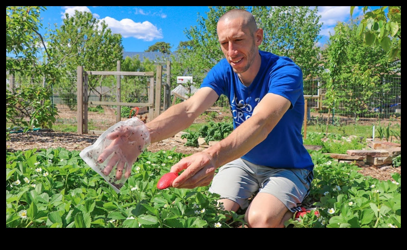 Safeguarding Serenity: Combatting Pests in Your Garden