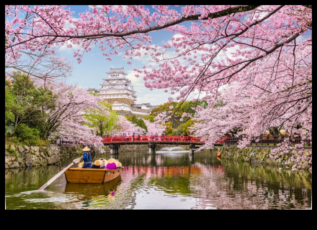Sakura Whispers: Japanese Cherry Blossom Gardens