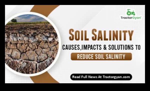 Why are certain landscapes more prone to soil salinity?