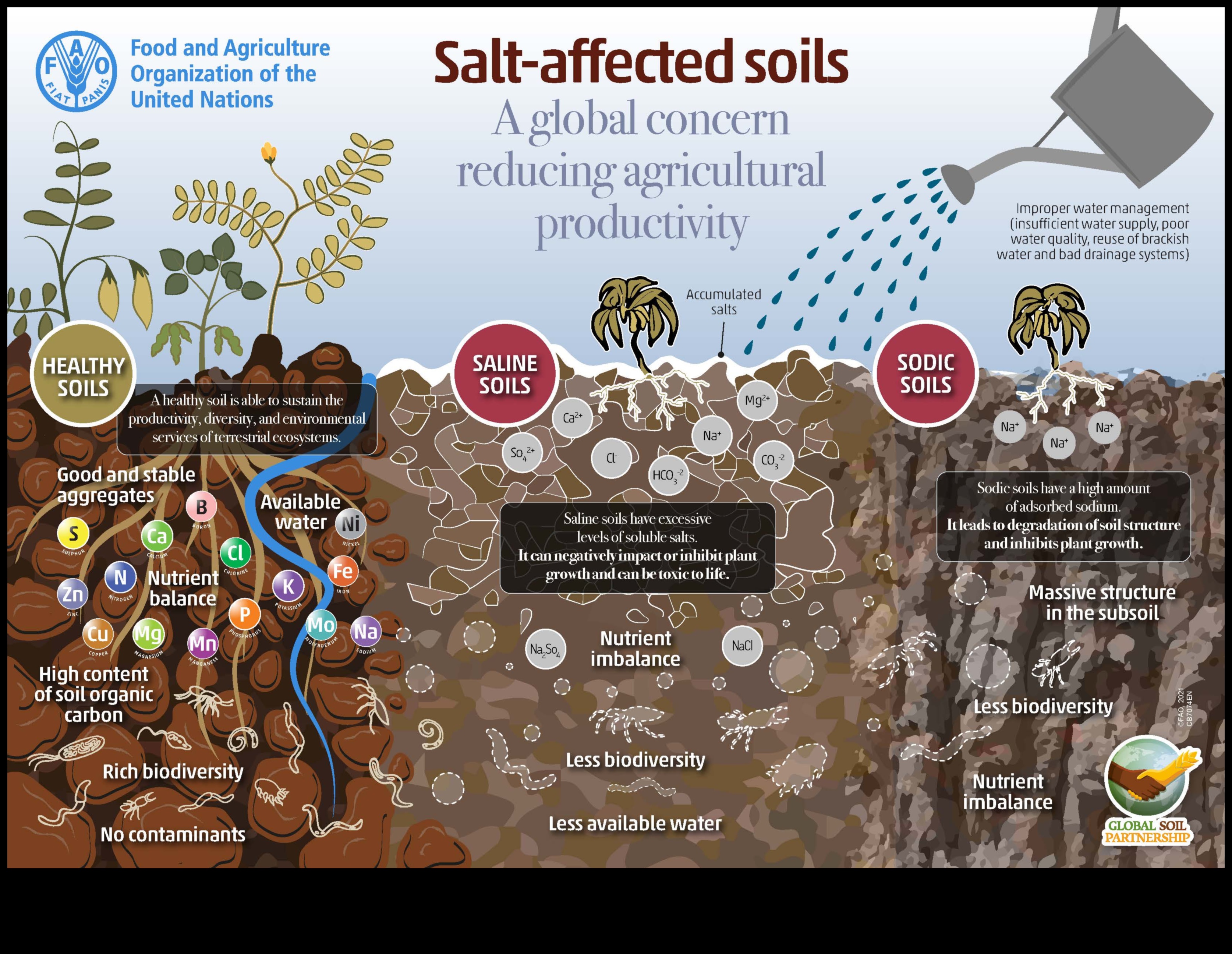 Why are certain landscapes more prone to soil salinity?