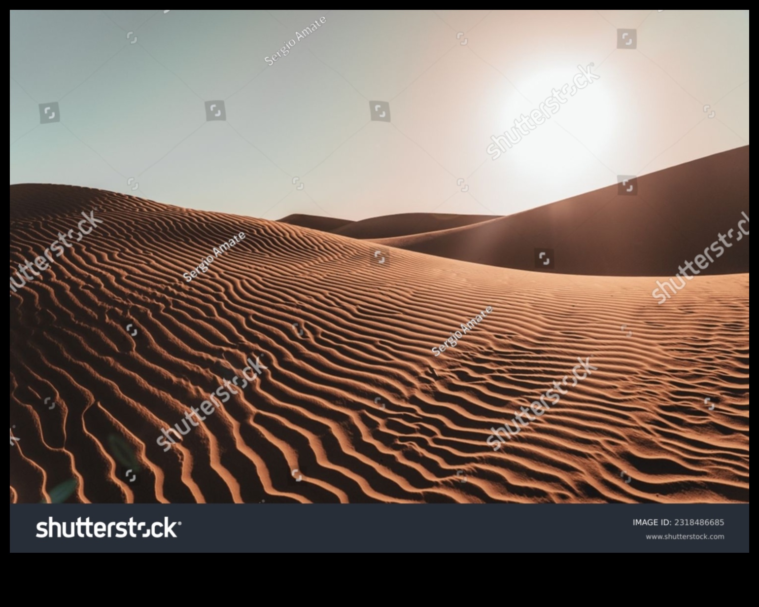 Desert Dreams: Sand Dunes and Endless Horizons