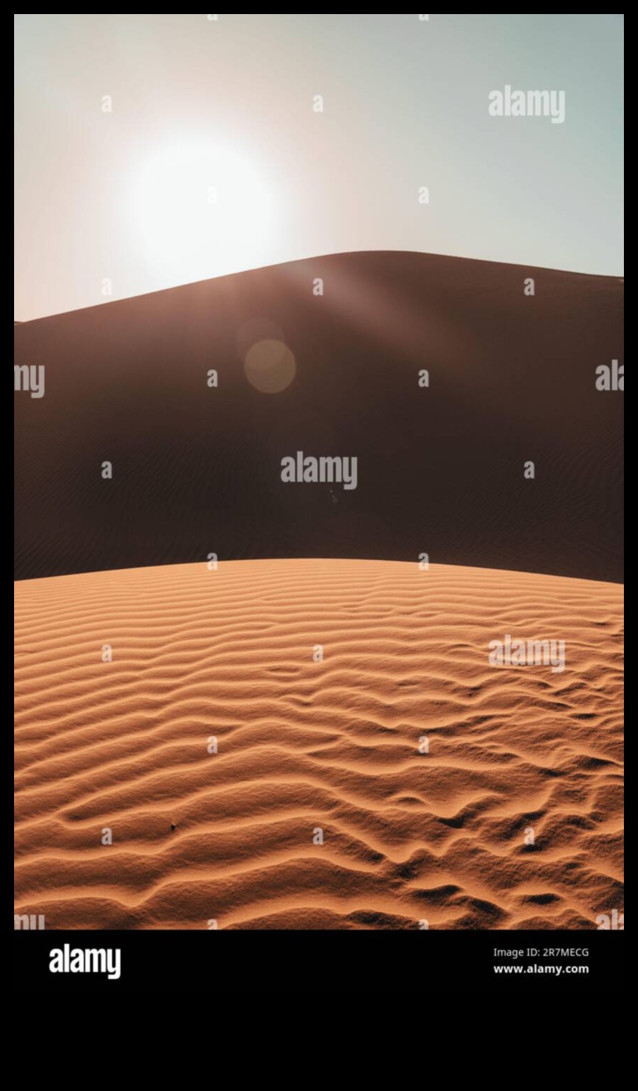 Desert Dreams: Sand Dunes and Endless Horizons