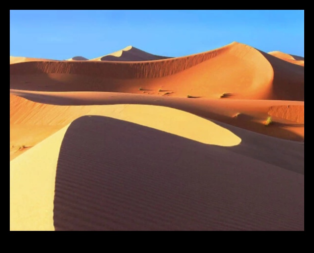 Desert Dreams: Sand Dunes and Endless Horizons