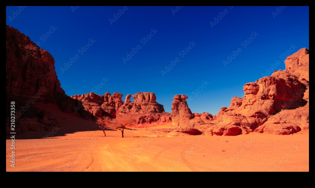 Desert Echoes: Sand Dunes Shaped by the Wind