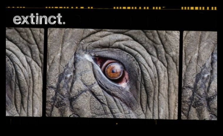 How do landscapes contribute to the conservation of endangered species?