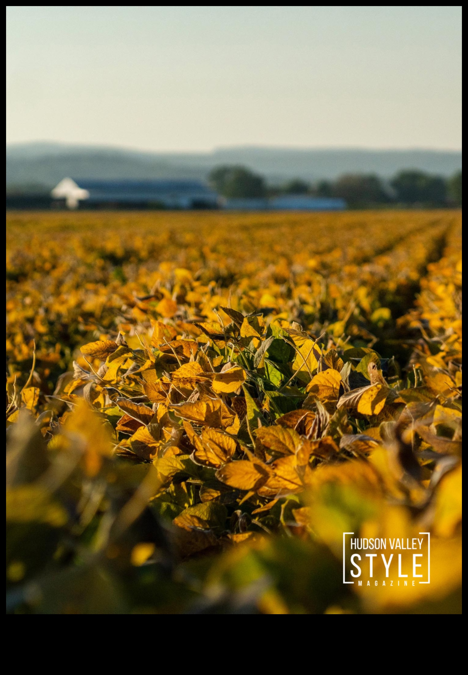 Infinite Horizons: Landscapes That Touch the Sky