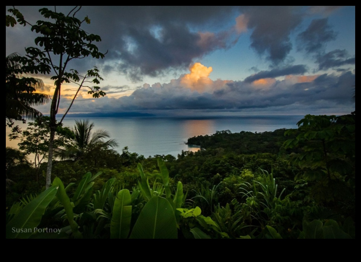 Scenic Panoramas: A Visual Feast of Diverse Landscapes