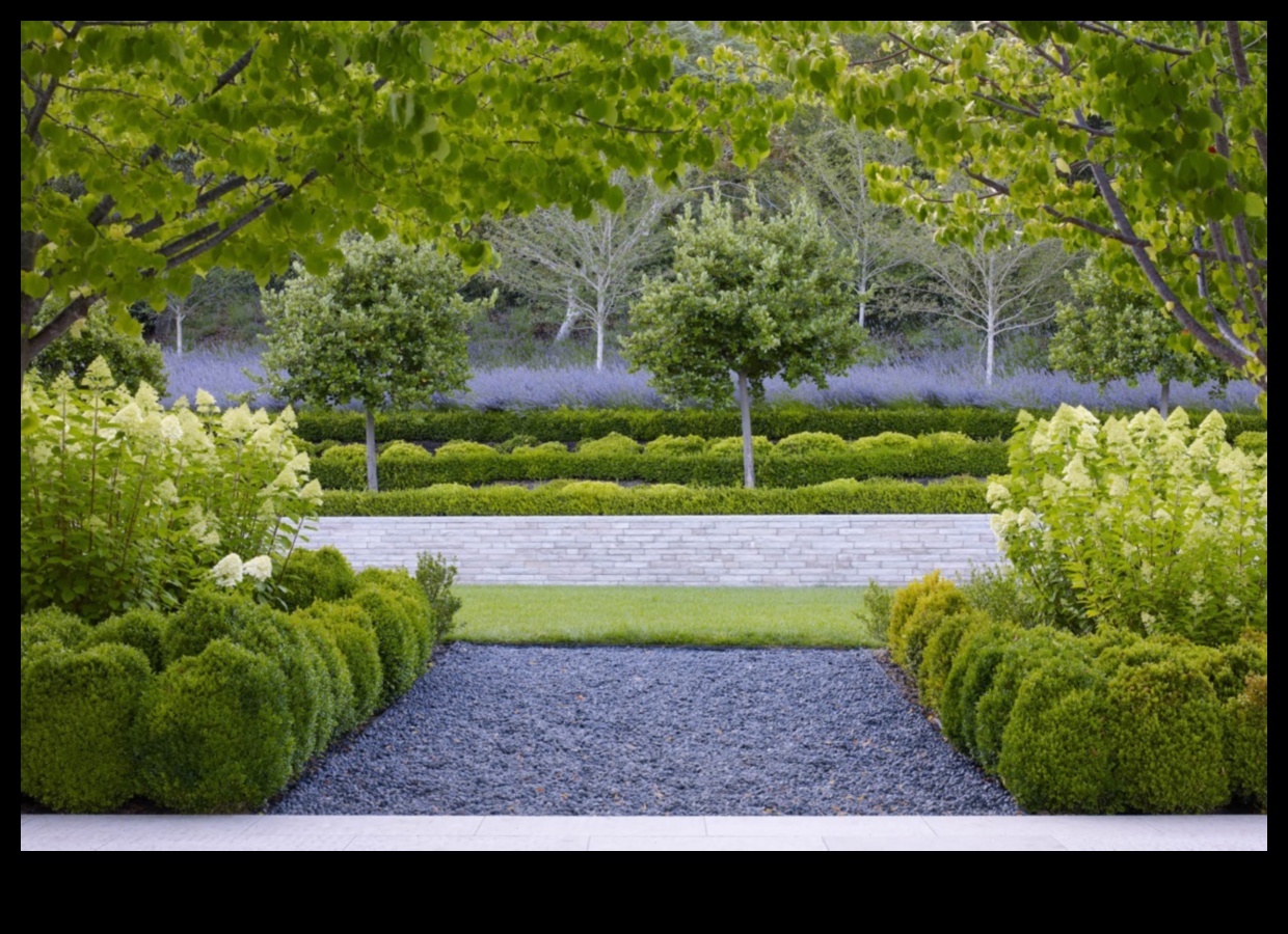 Sculpted Serenity: Garden Design Elegance Defined