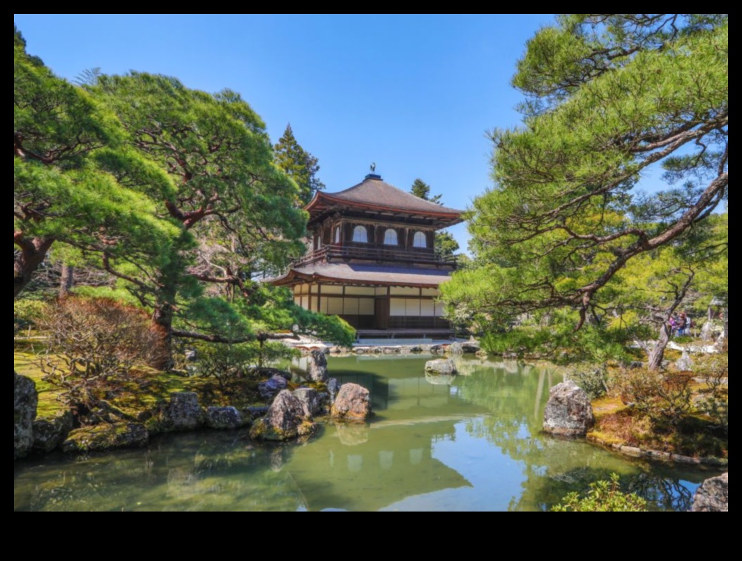 Sculpted Silence: Japanese Garden Beauty Revealed