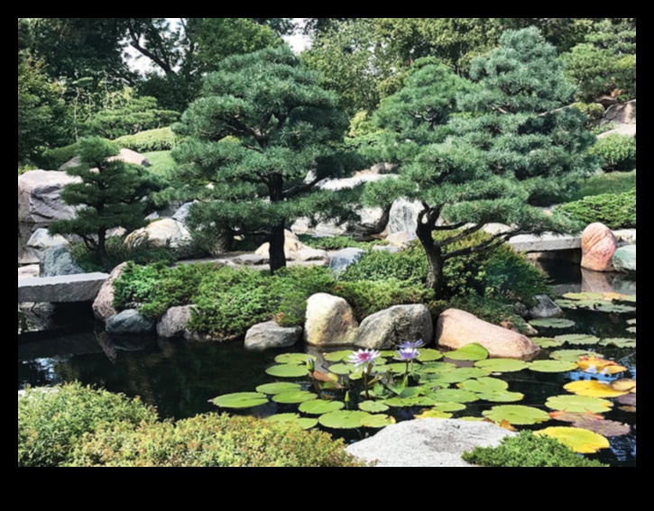 Sculpted Silence: Japanese Garden Beauty Revealed
