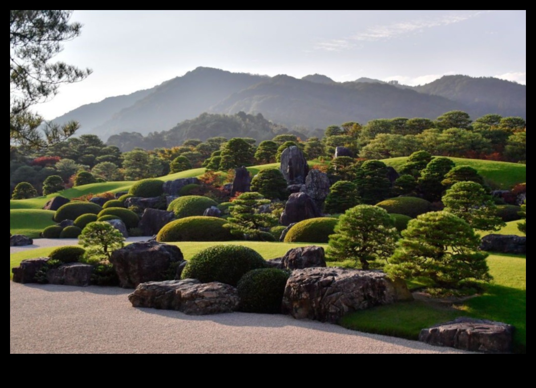 Sculpted Silence: Japanese Garden Beauty Revealed