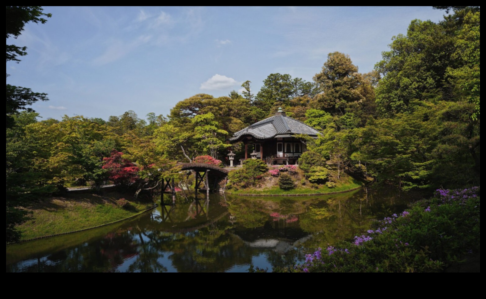 Sculpted Silence: Japanese Garden Tranquility
