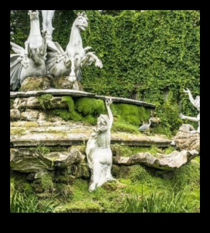 Sculpting Green: Garden Design Artistry in Motion