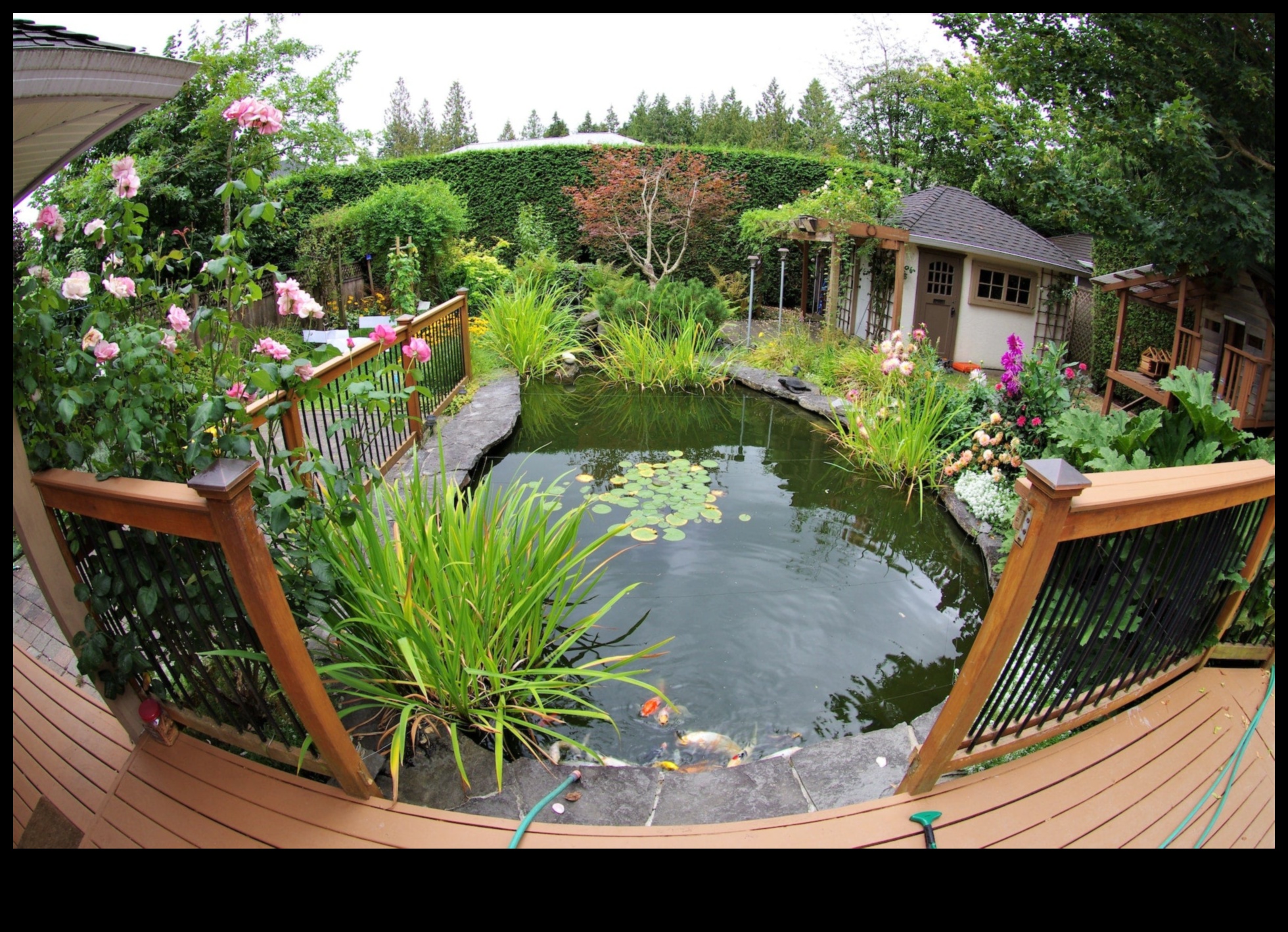 Sculpting Serenity: Elevate Your Garden with Decor Delights