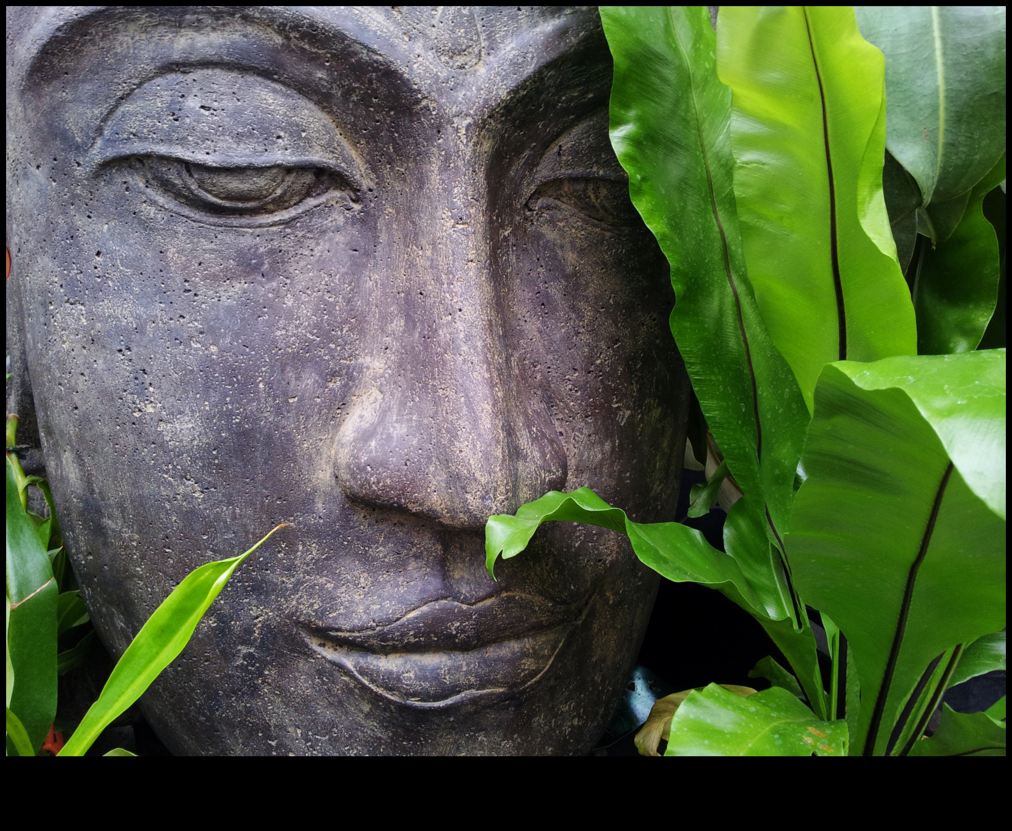 Sculpting Serenity: Unique Garden Art for Every Style