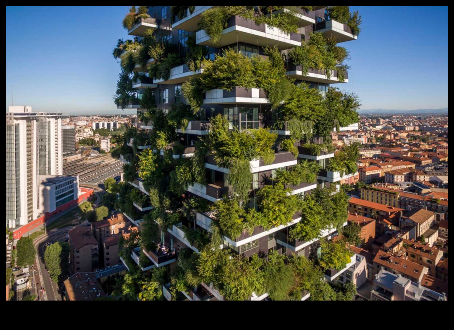 Sculpting the Skyline: The Art of Vertical Gardening