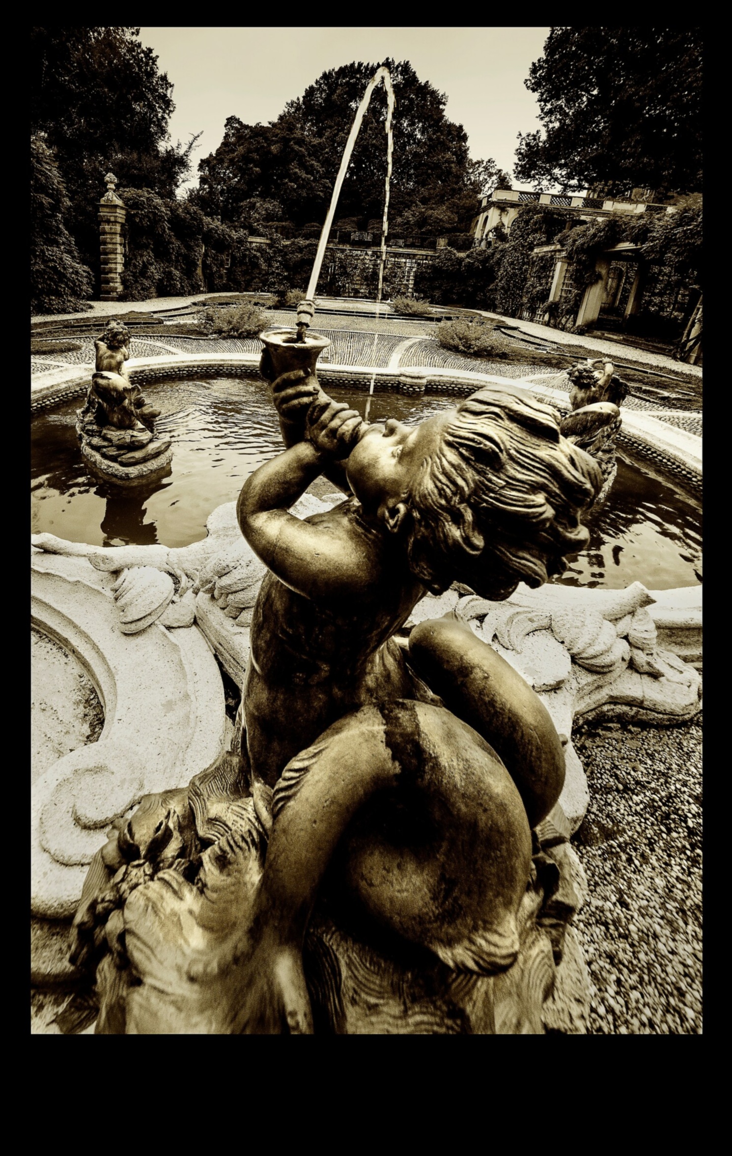 Sculptural Beauty: Elevate Your Garden with Artistic Bliss