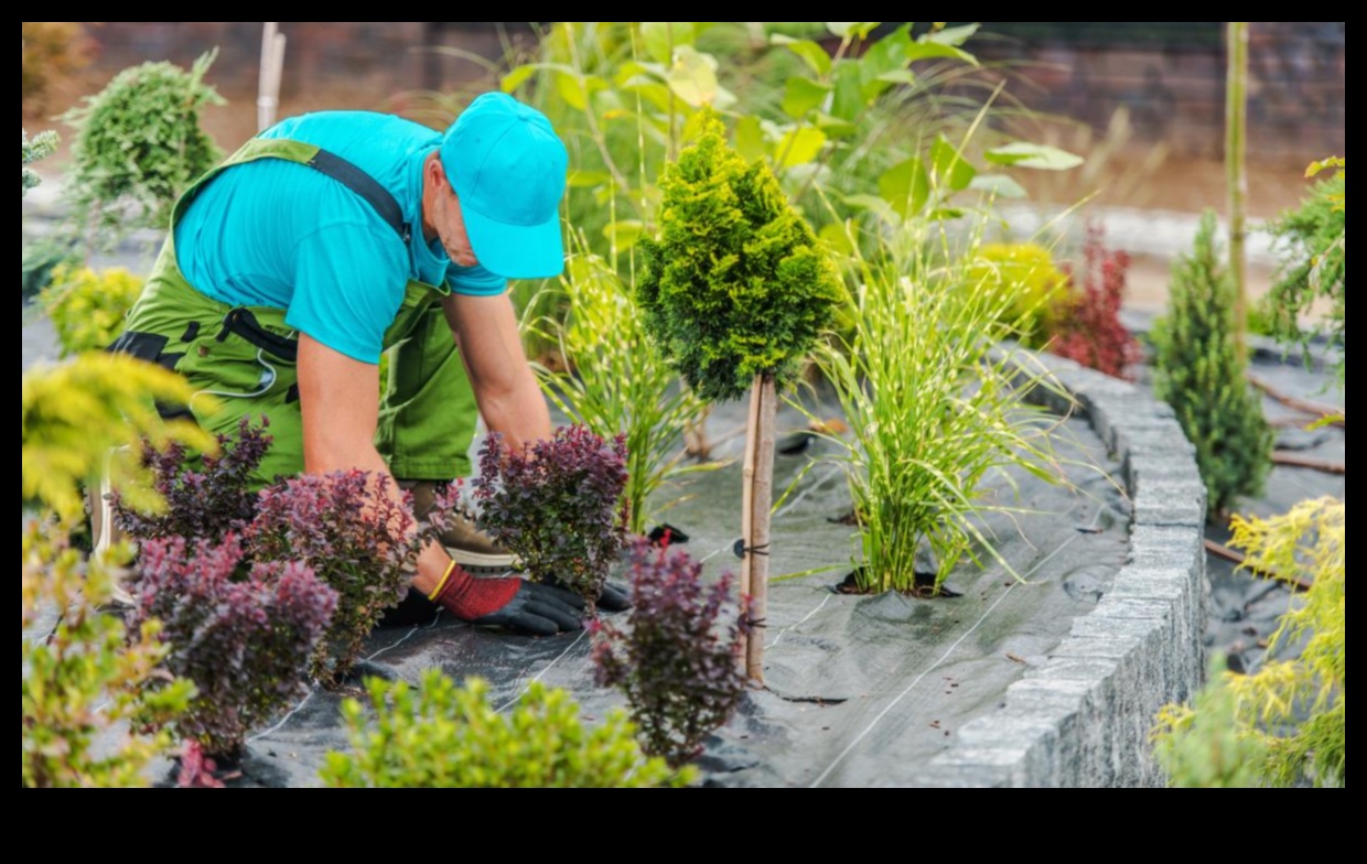 Seasonal Splendor: Mastering Year-Round Garden Maintenance