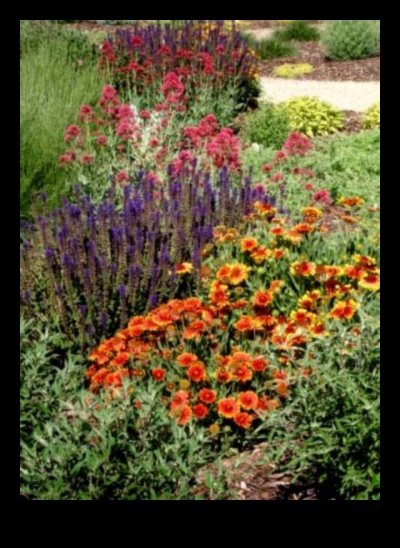 Seasonal Splendor: Tips for a Colorful Year-Round Garden