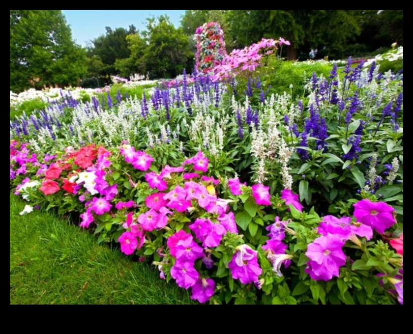 Seasonal Splendor: Tips for a Colorful Year-Round Garden