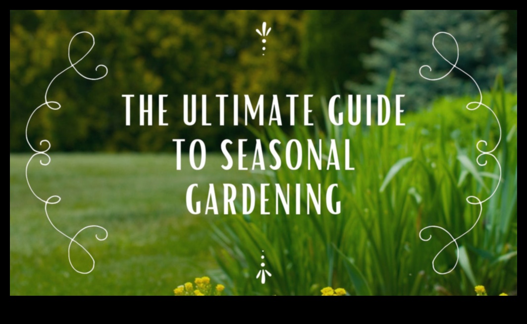 Seasonal Splendor: Tailored Tips for Garden Care