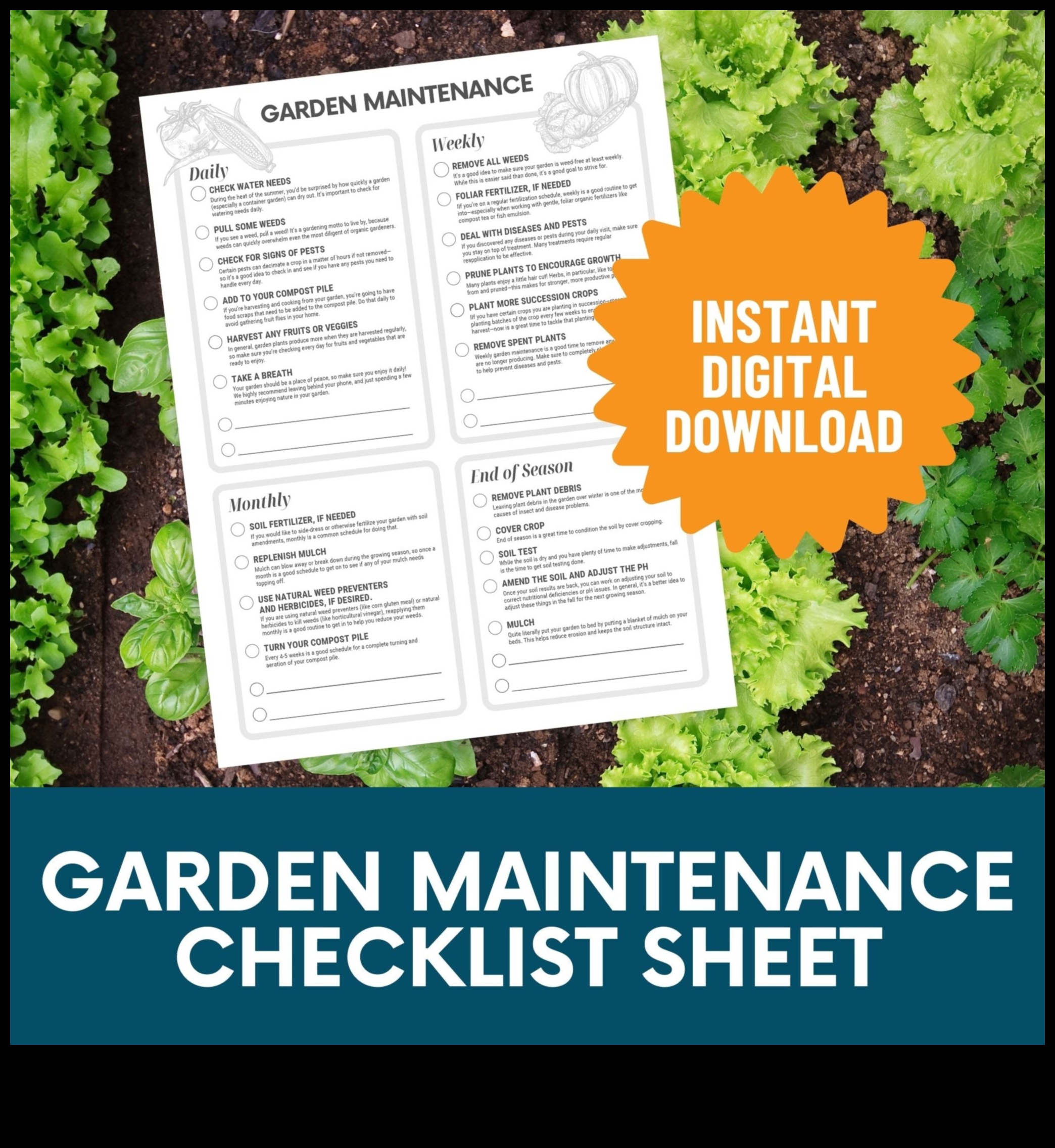 Seasonal Symphony: Harmonizing Your Garden Maintenance Routine
