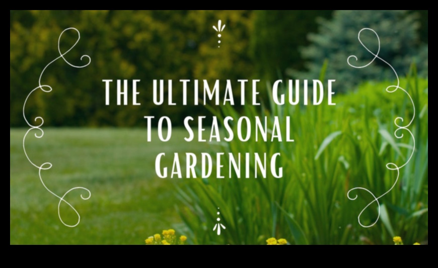 Seasonal Symphony: Harmonizing Your Garden Maintenance Routine