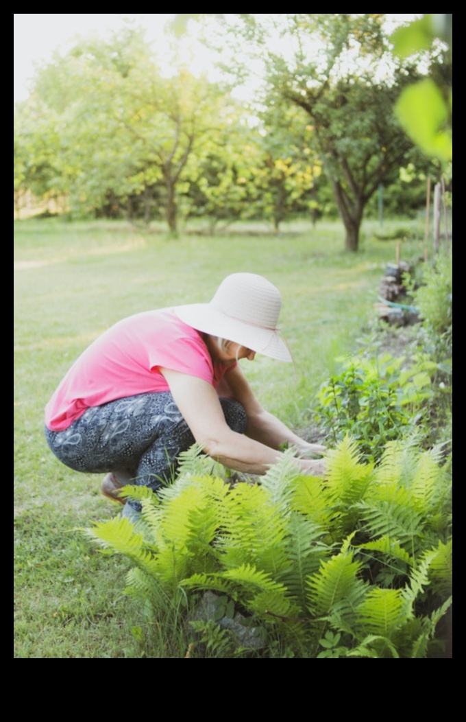 Seasonal Symphony: Horticulture's Ever-Changing Beauty