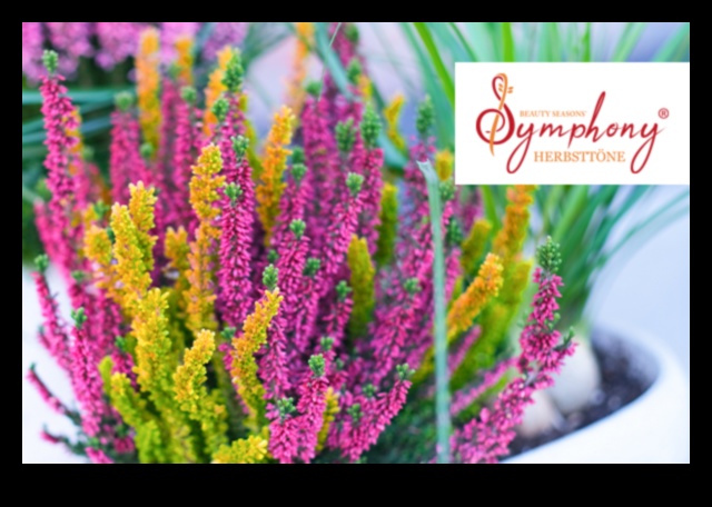 Seasonal Symphony: Horticulture's Ever-Changing Beauty