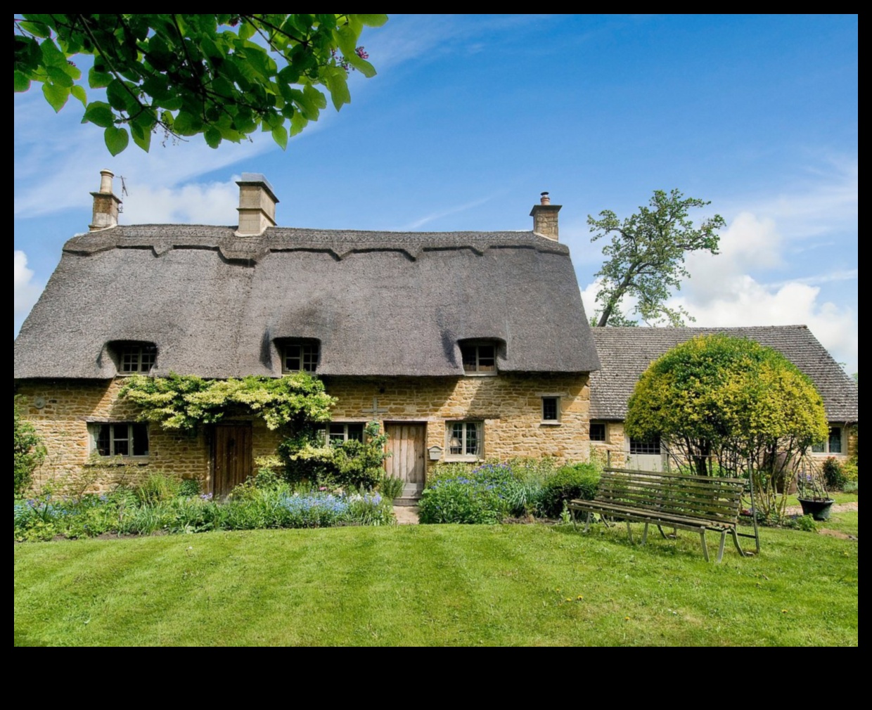 Secret Garden Gems: Unveiling the Beauty of Cottage Blooms